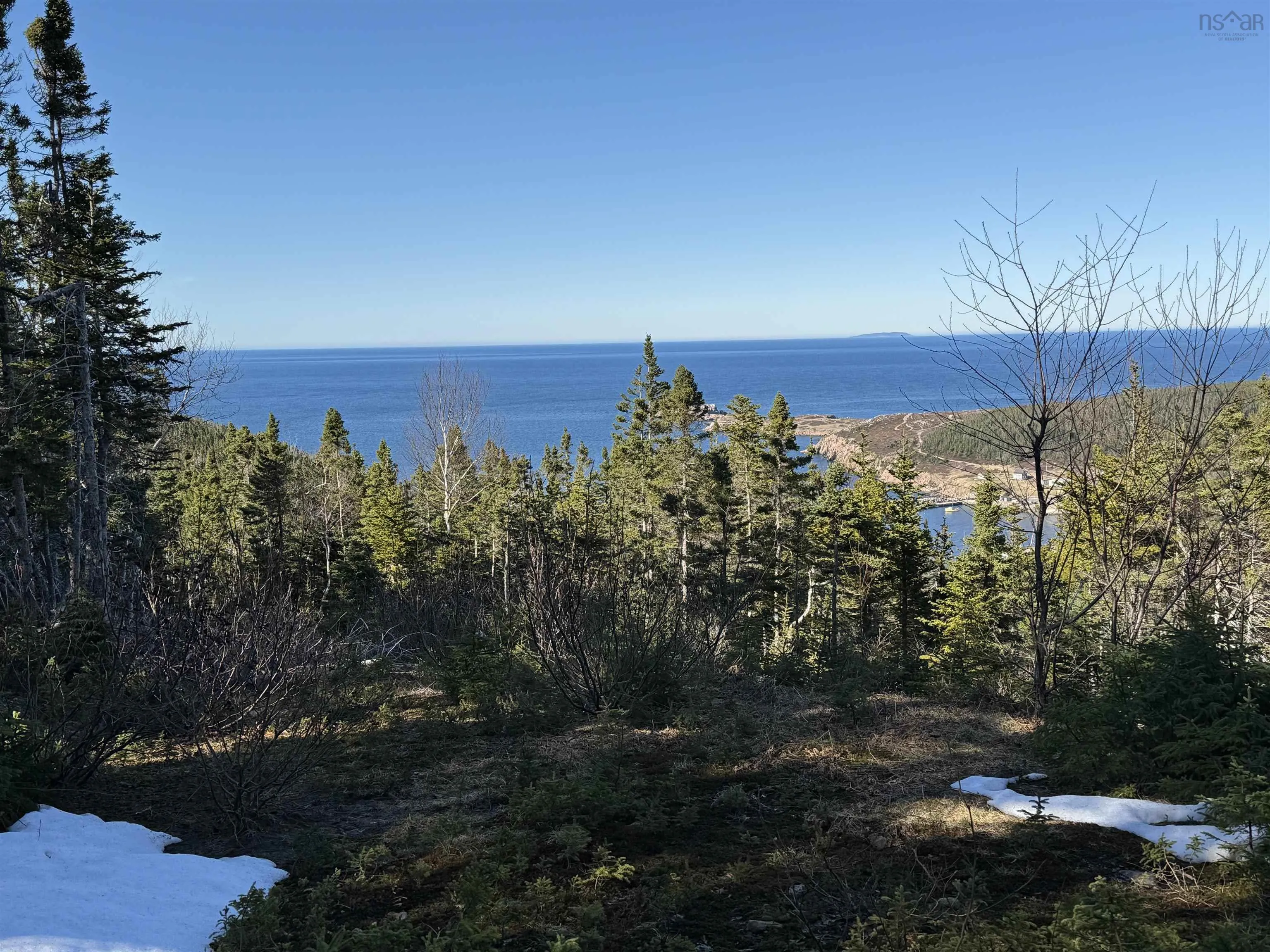 White Point Road, Smelt Brook Ns B0c 1n0, ,Land,For Sale,White Point,202505584