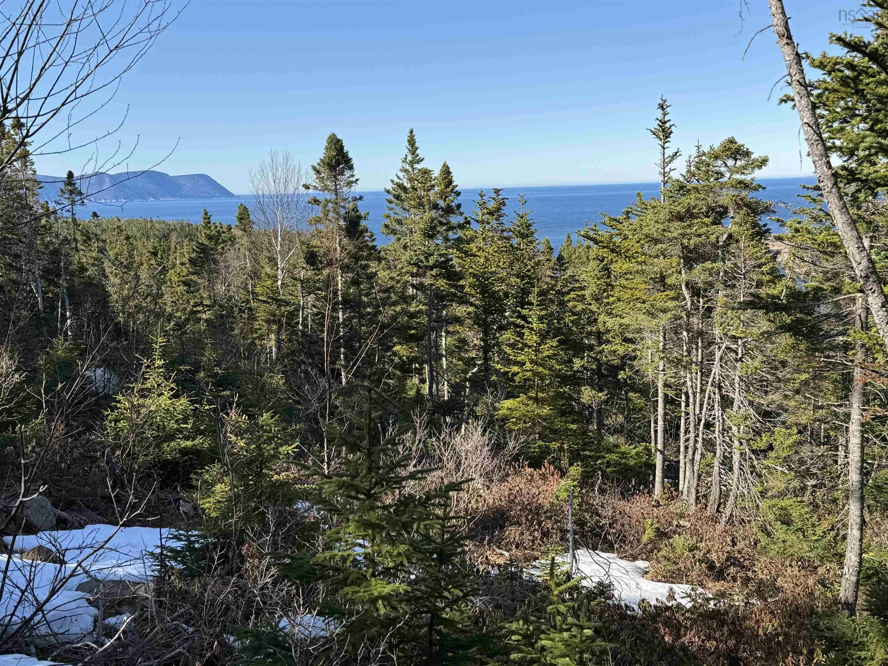 White Point Road, Smelt Brook Ns B0c 1n0, ,Land,For Sale,White Point,202505584