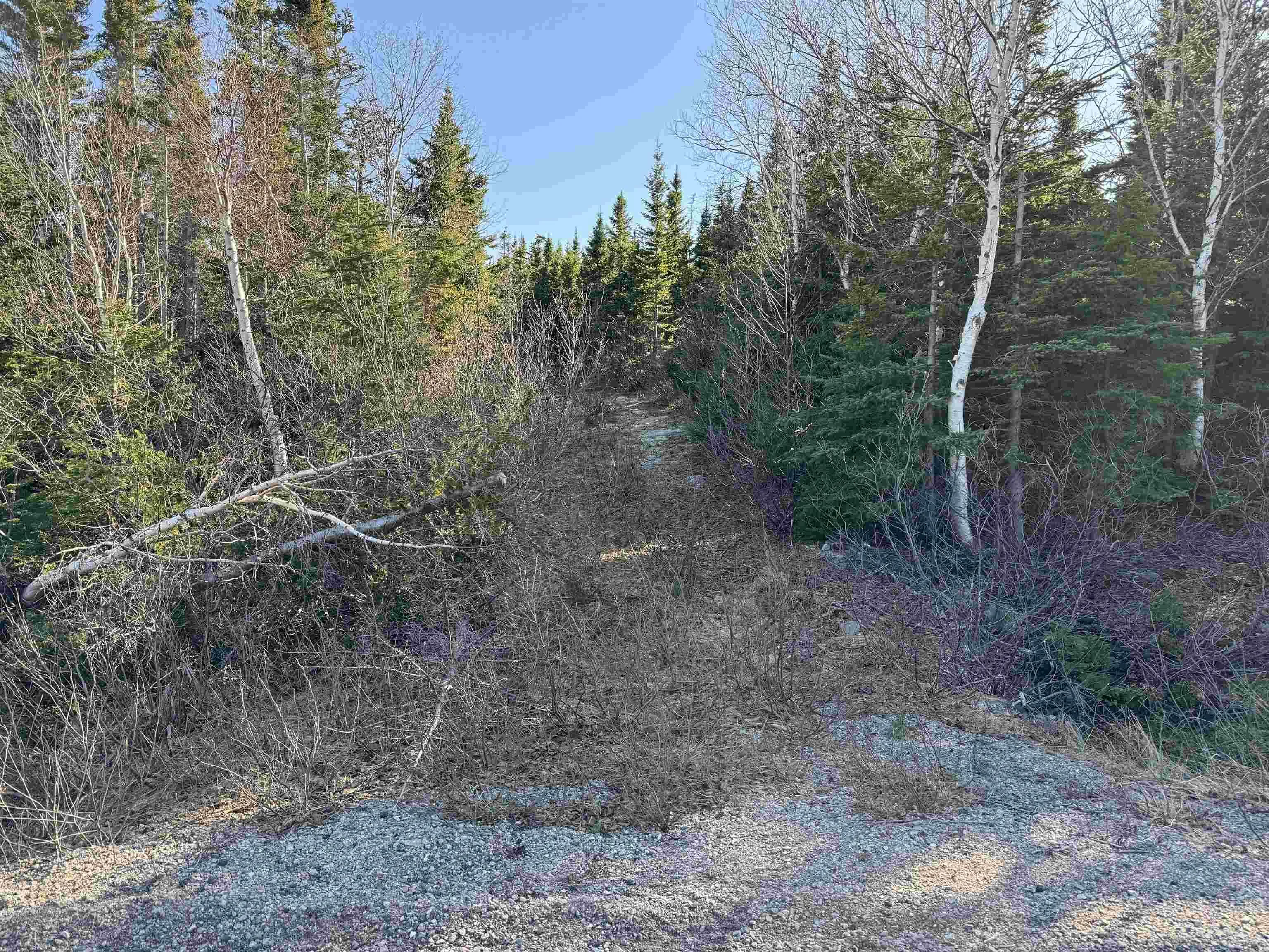 White Point Road, Smelt Brook Ns B0c 1n0, ,Land,For Sale,White Point,202505584