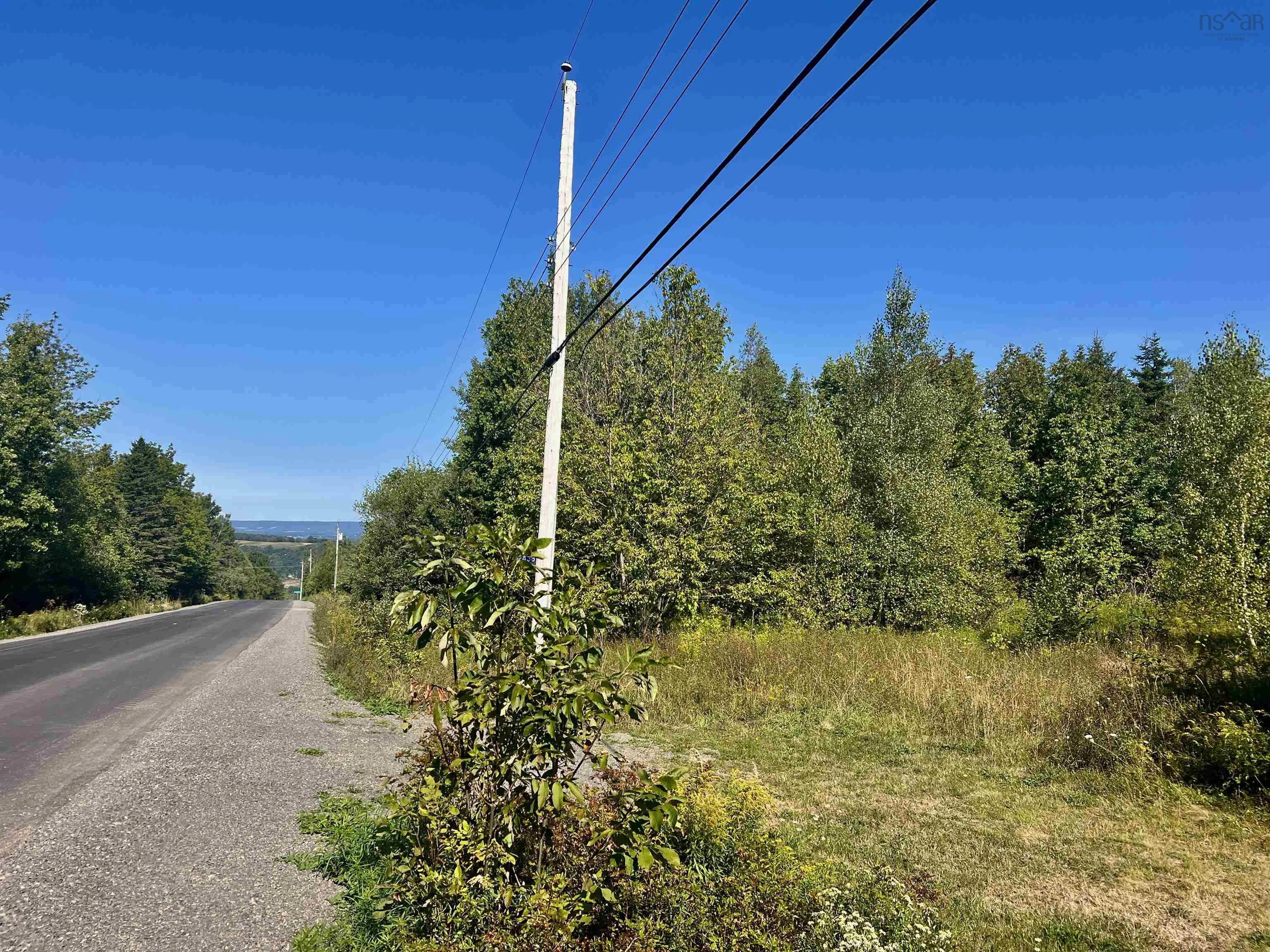 2438 Greenfield Road, Forest Hill, NS B4P 2R1, ,Land,For Sale,Greenfield,202522377