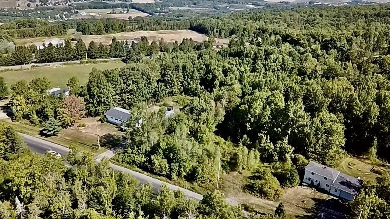 2438 Greenfield Road, Forest Hill, NS B4P 2R1, ,Land,For Sale,Greenfield,202522377