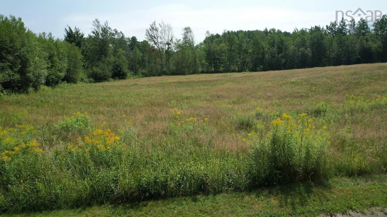 1134 Lake Road, Mattatall Lake, NS B0M 1Z0, ,Land,For Sale,Lake,202519517