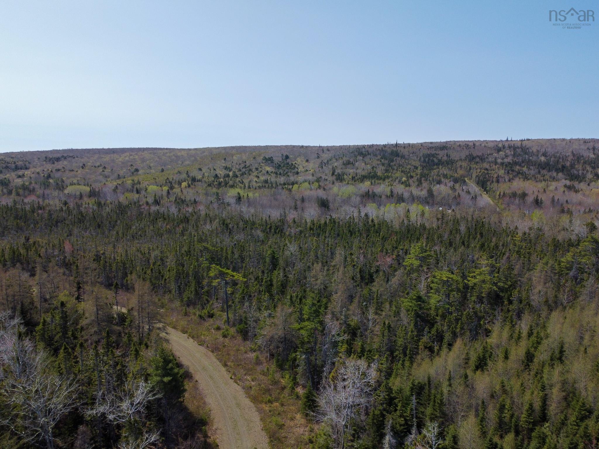 Lot 63 Marble Mountain Road, Malagawatch NS B0E 2Y0, ,Land,For Sale,Marble Mountain,202218935