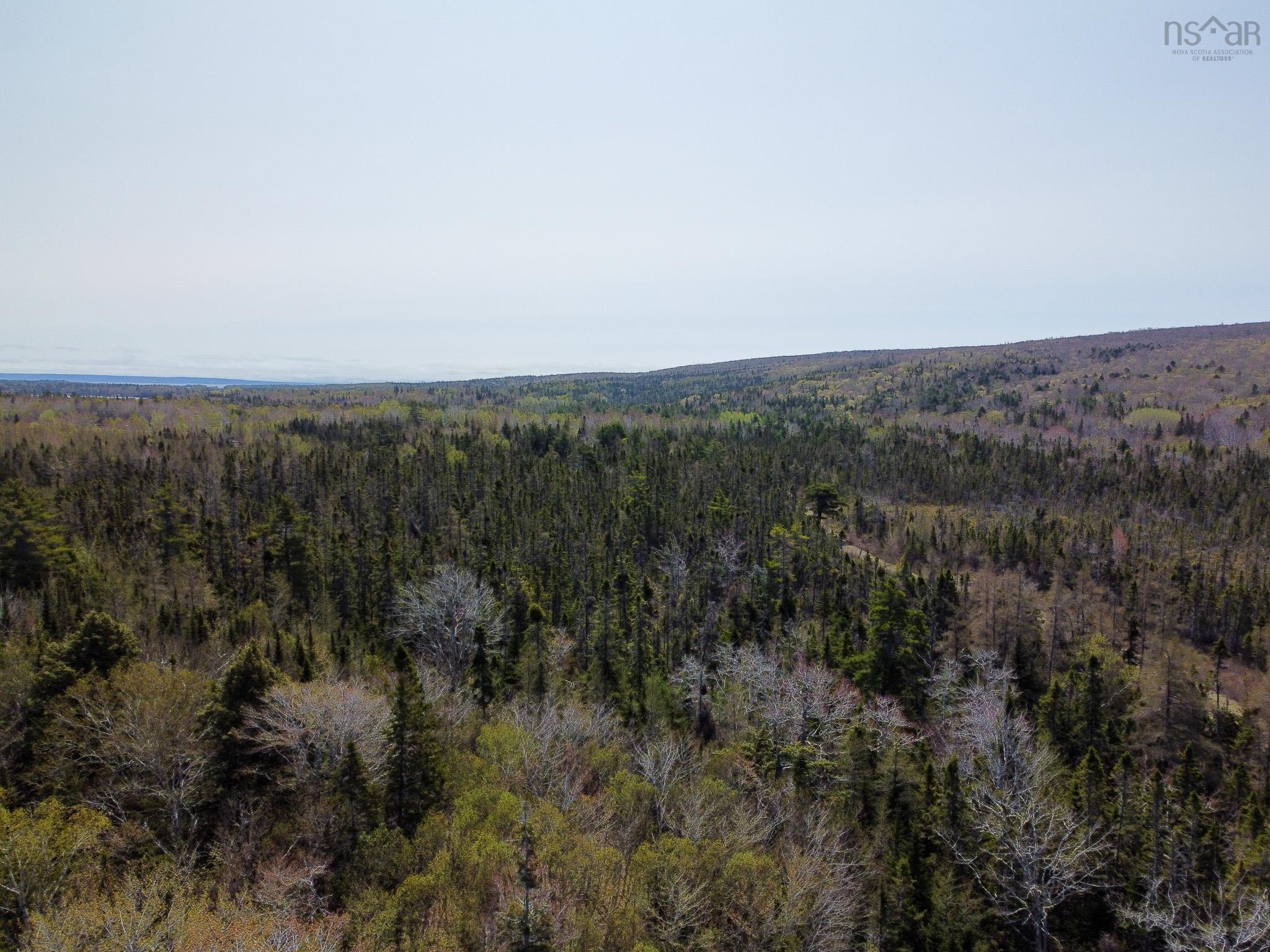 Lot 63 Marble Mountain Road, Malagawatch NS B0E 2Y0, ,Land,For Sale,Marble Mountain,202218935