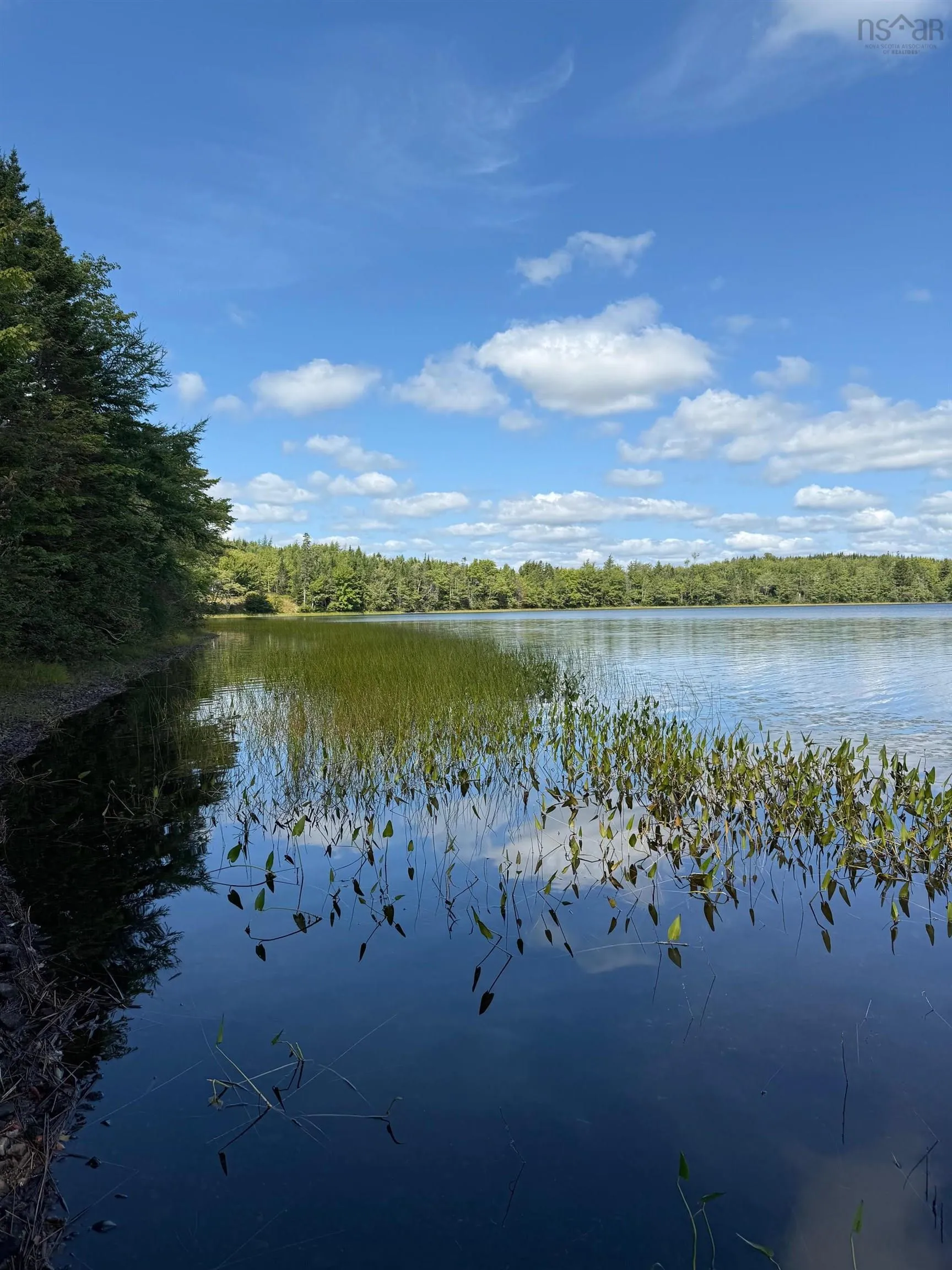 No 7 Highway Lot 1, Aspen Ns B0h 1e0, ,Land,For Sale,No 7,202504404