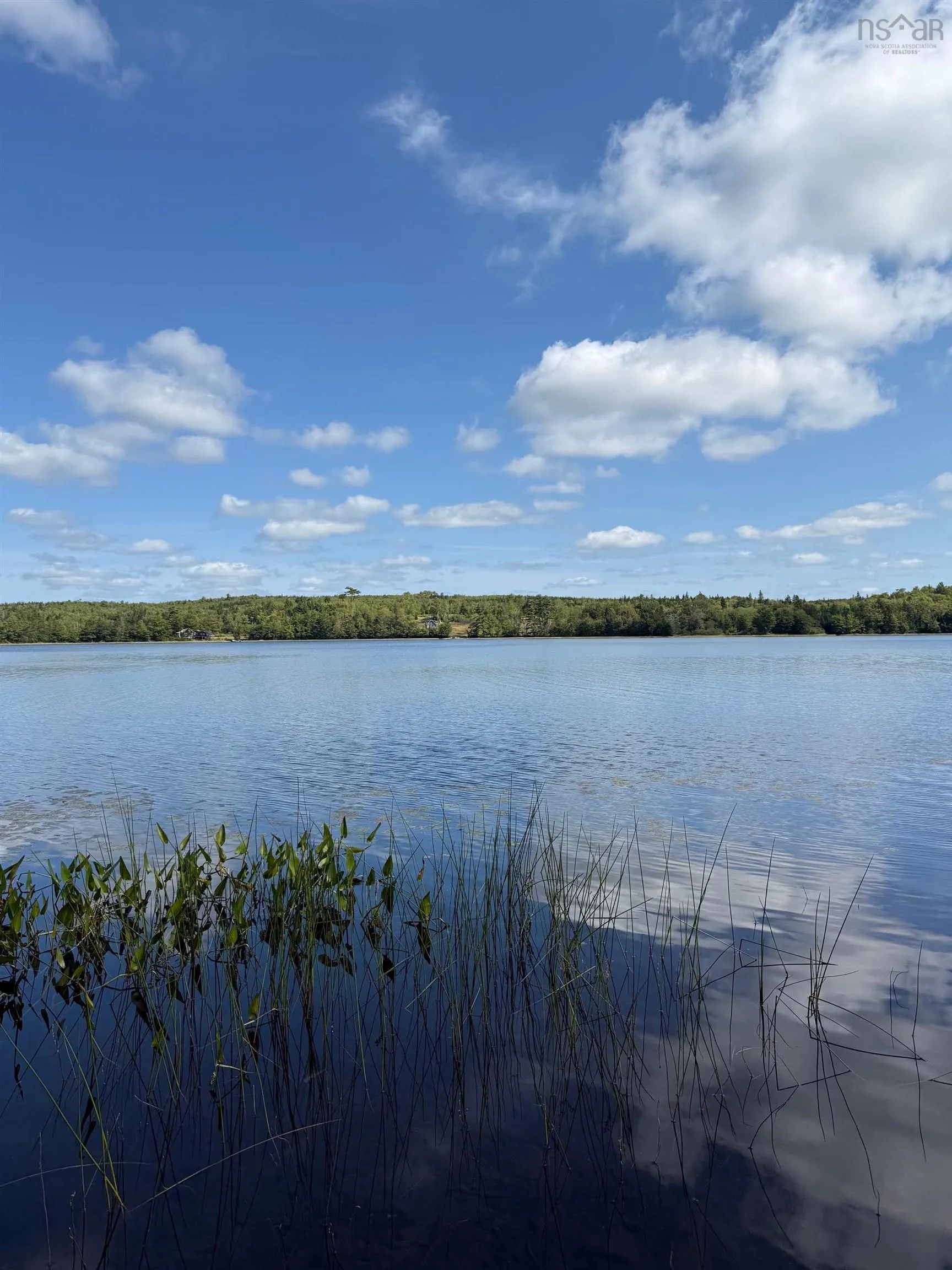 No 7 Highway Lot 1, Aspen Ns B0h 1e0, ,Land,For Sale,No 7,202504404