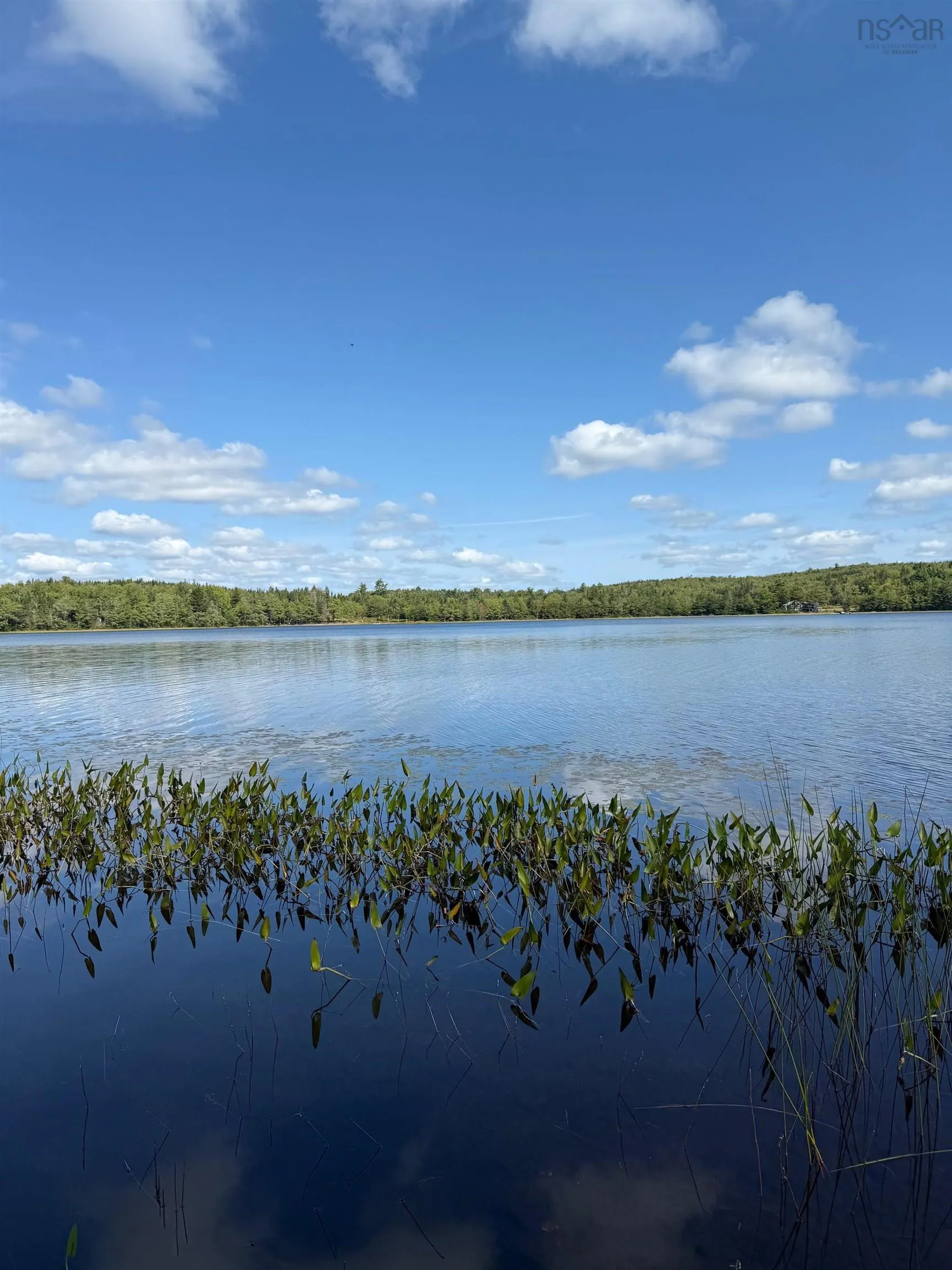 No 7 Highway Lot 1, Aspen Ns B0h 1e0, ,Land,For Sale,No 7,202504404