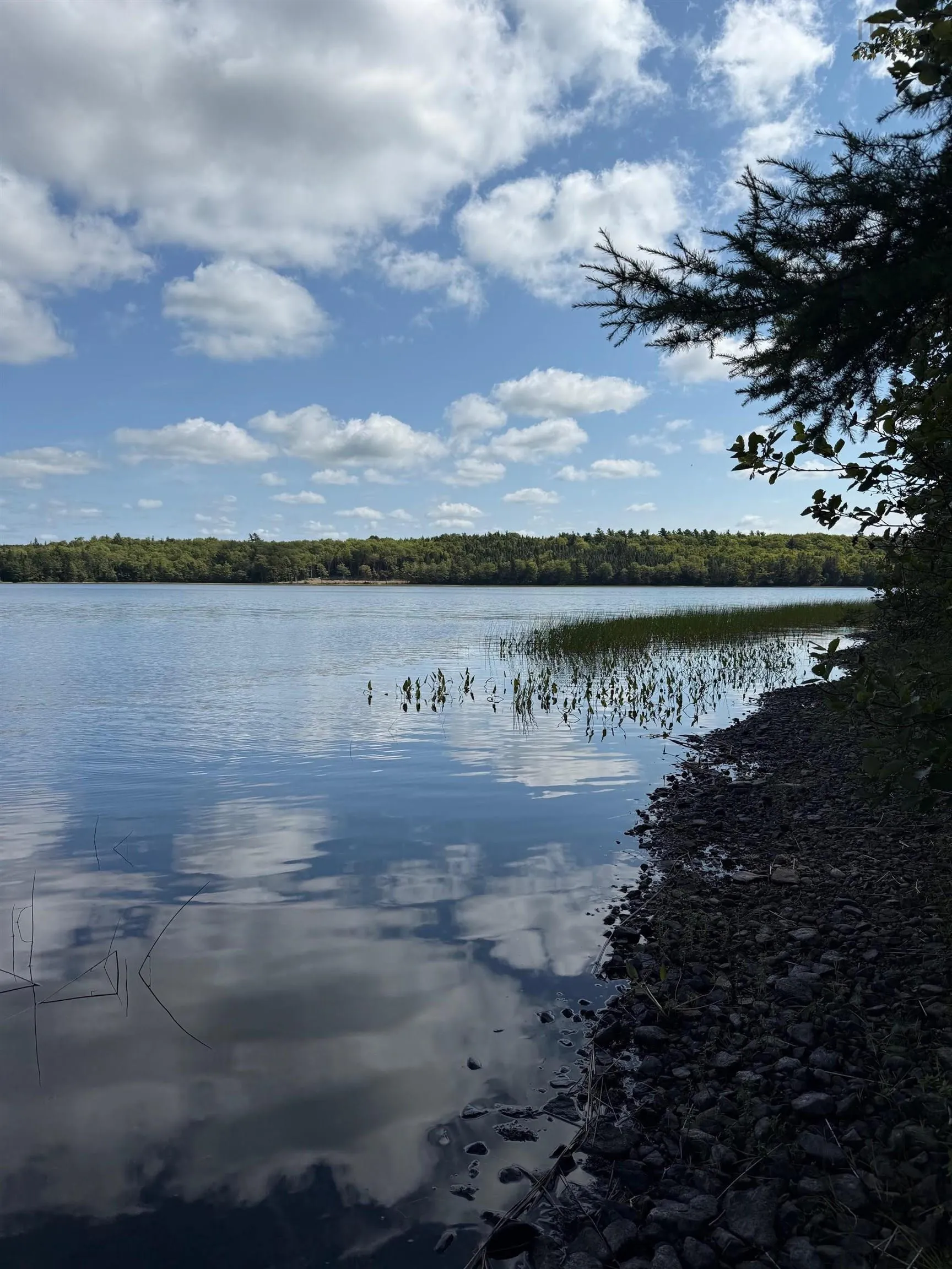 No 7 Highway Lot 1, Aspen Ns B0h 1e0, ,Land,For Sale,No 7,202504404