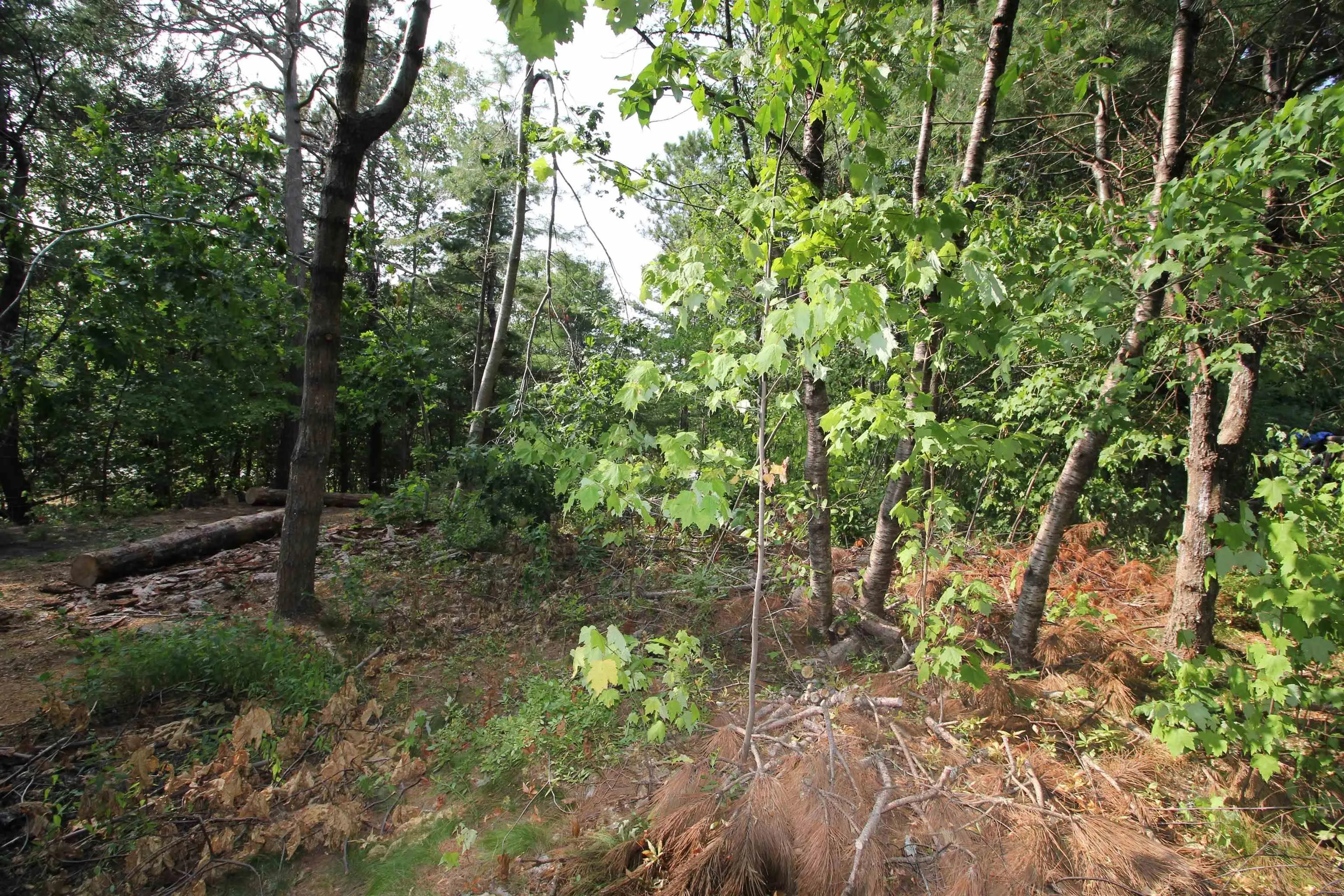 Highway 1, Wilmot, NS B0P 1W0, ,Land,For Sale,Highway 1,202520184