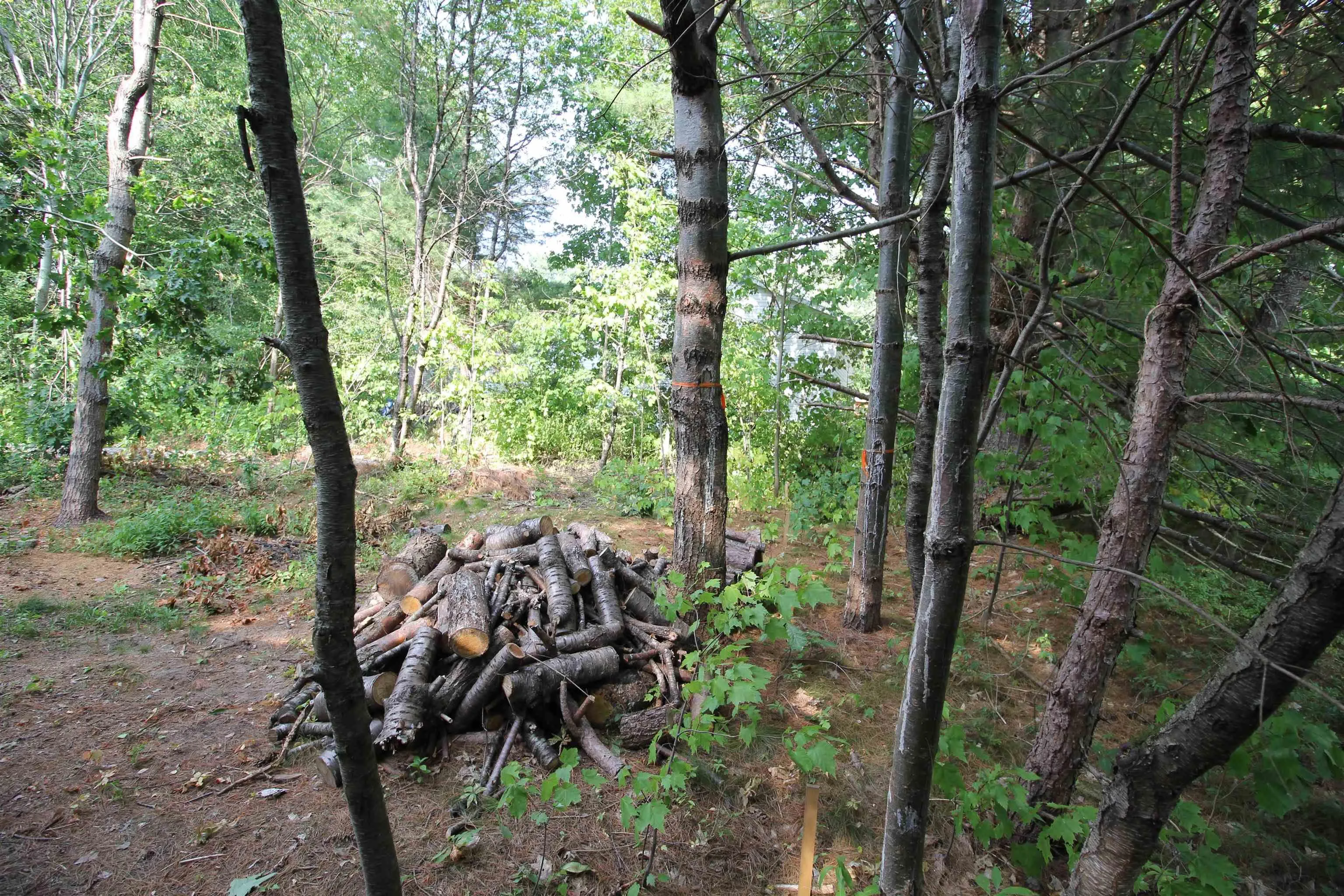 Highway 1, Wilmot, NS B0P 1W0, ,Land,For Sale,Highway 1,202520184