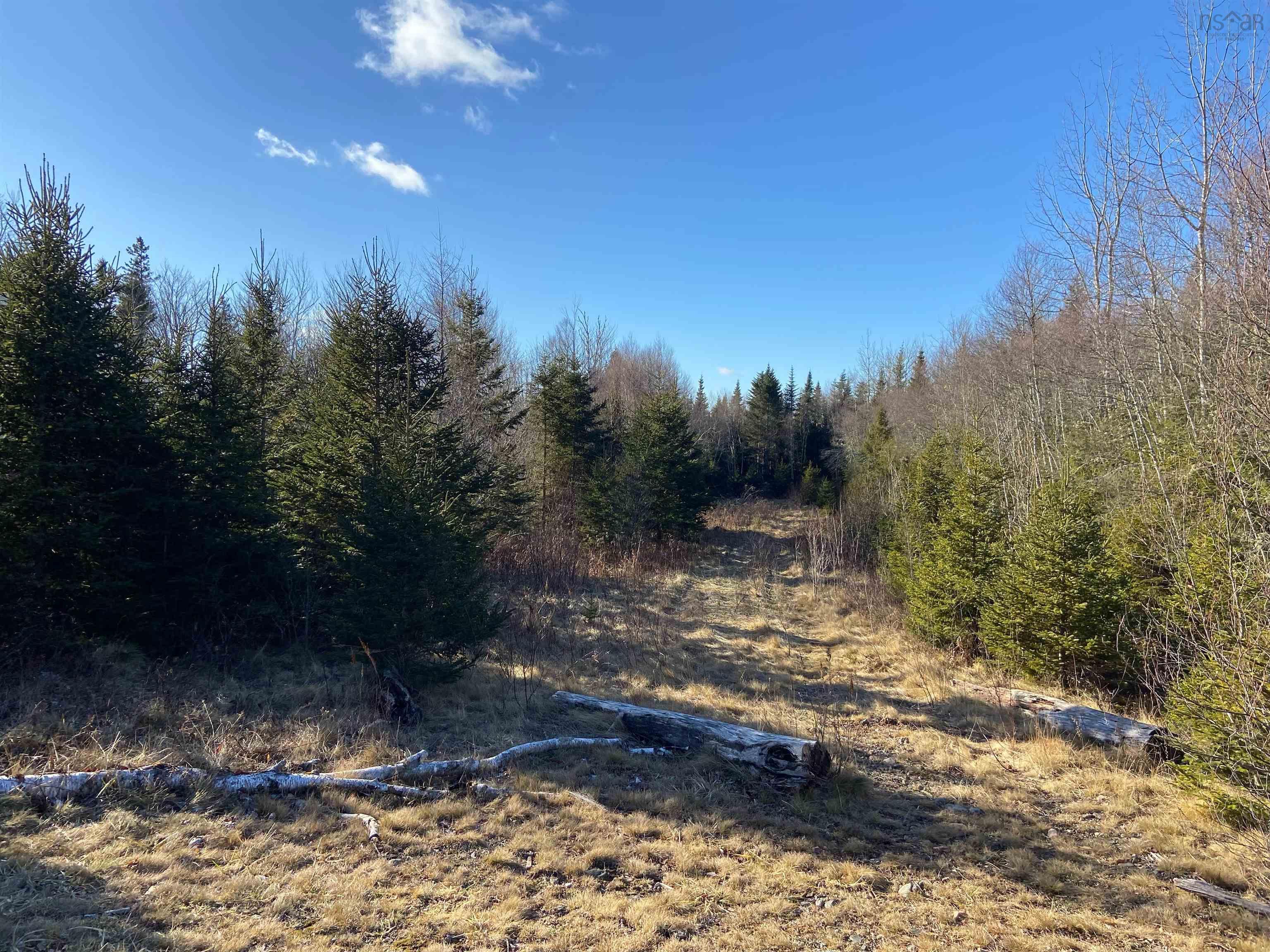 Greg Road, Greenfield NS B6L 3S3, ,Land,For Sale,Greg,202301243