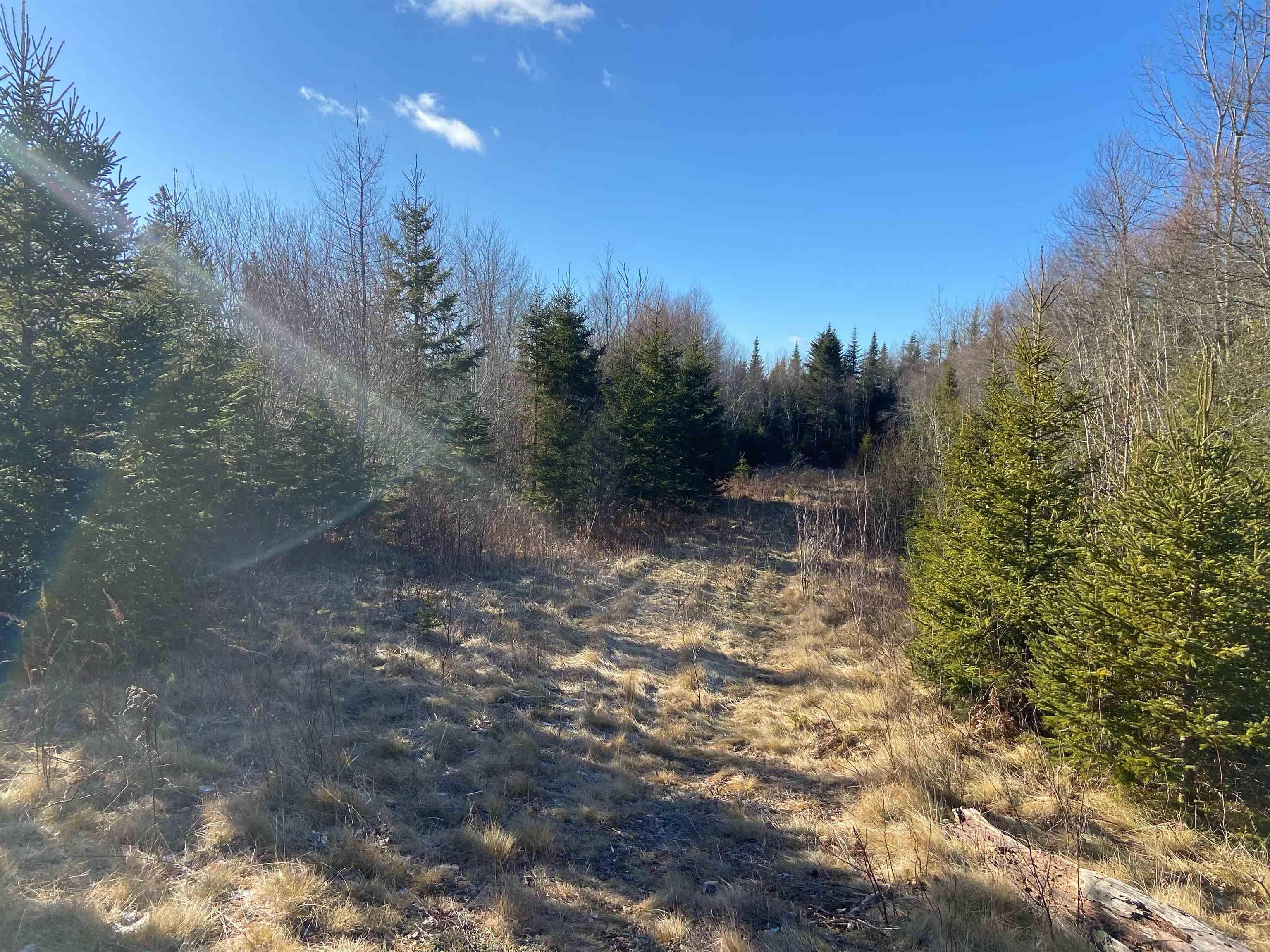 Greg Road, Greenfield NS B6L 3S3, ,Land,For Sale,Greg,202301243