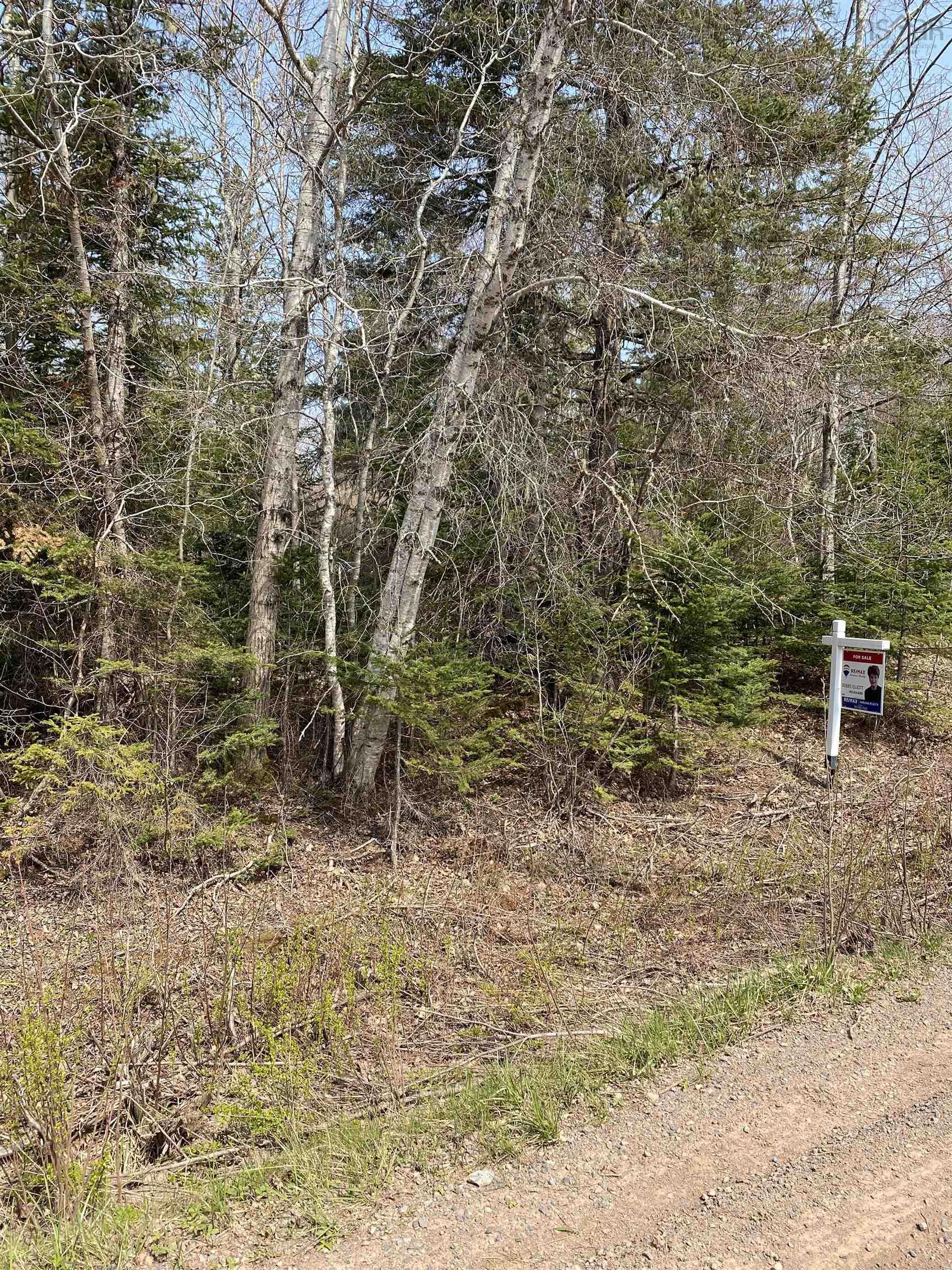 Hunter Road, Lower Wentworth NS B0M 1Z0, ,Land,For Sale,Hunter,202304923