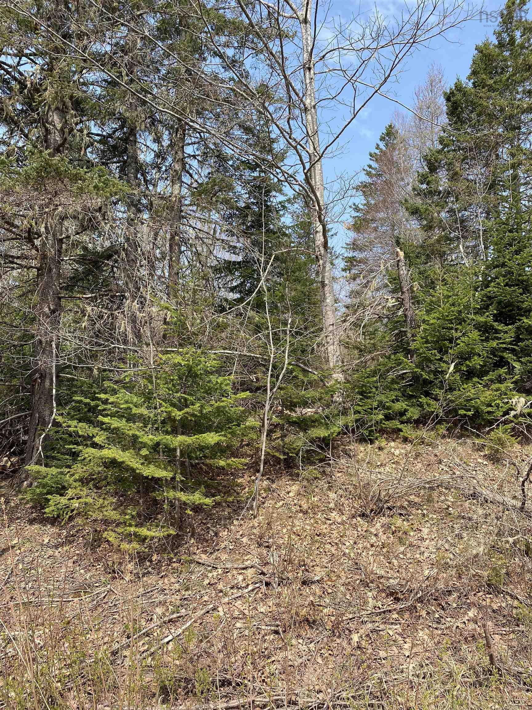 Hunter Road, Lower Wentworth NS B0M 1Z0, ,Land,For Sale,Hunter,202304923