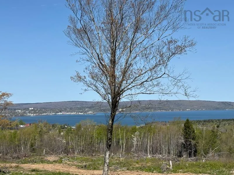 101 Highway, Smiths Cove Ns B0s 1s0, ,Land,For Sale,Highway,202427978