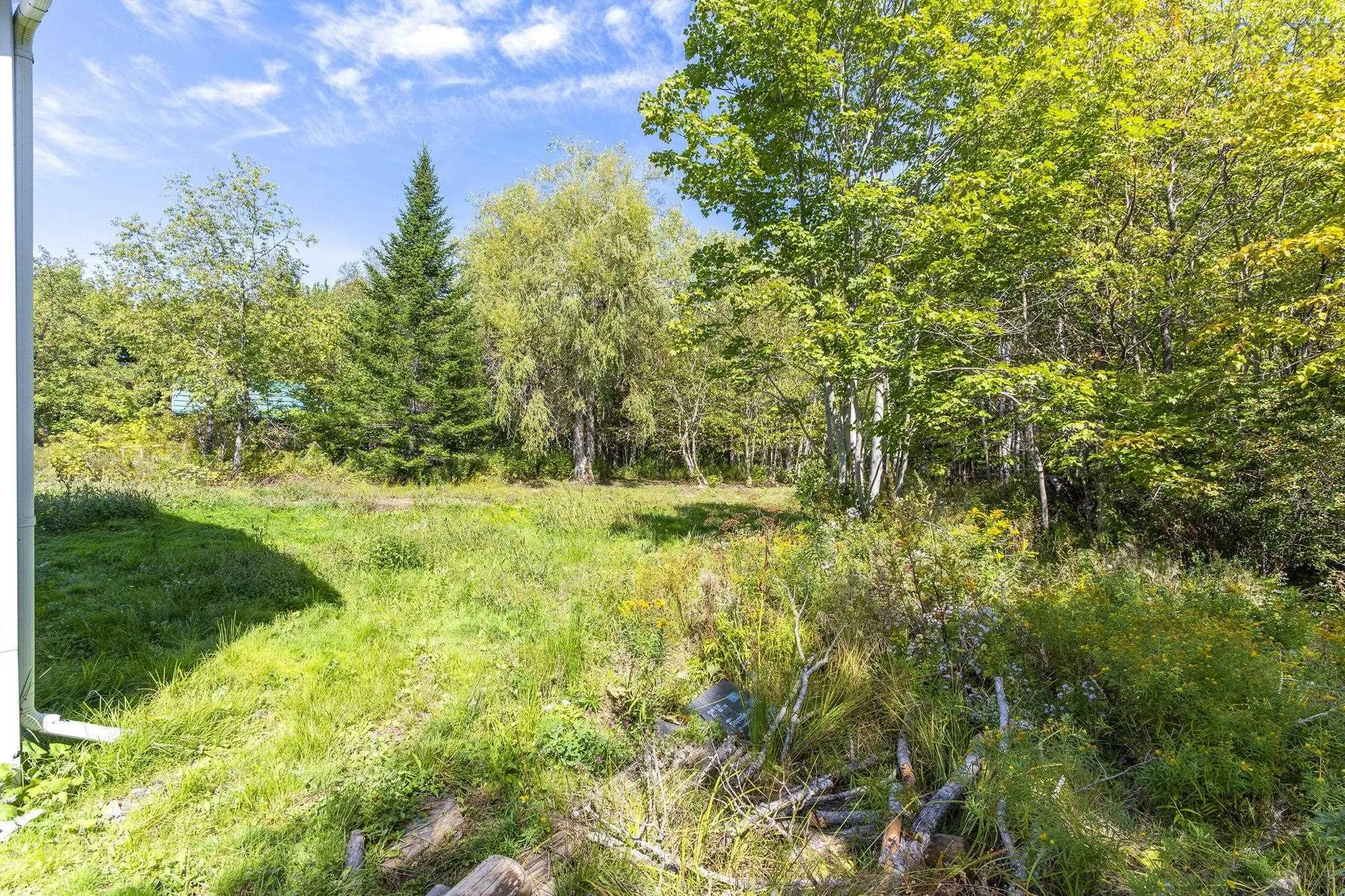 1648 Oldham Road, Goffs, NS B2T 1B9, 3 Bedrooms Bedrooms, ,1 BathroomBathrooms,Residential,For Sale,Oldham,202524872