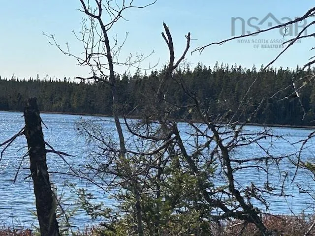 Salmon River Road, Salmon River Ns B0e 3b0, ,Land,For Sale,Salmon River,202510791