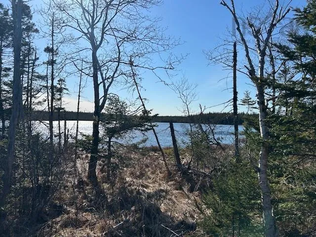 Salmon River Road, Salmon River Ns B0e 3b0, ,Land,For Sale,Salmon River,202510791