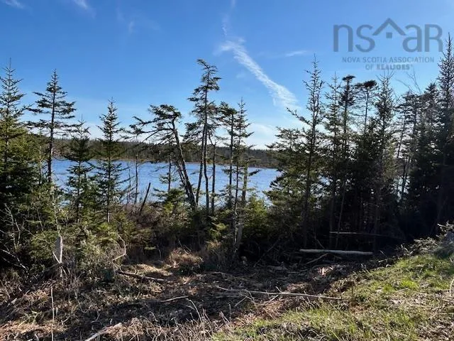 Salmon River Road, Salmon River Ns B0e 3b0, ,Land,For Sale,Salmon River,202510791