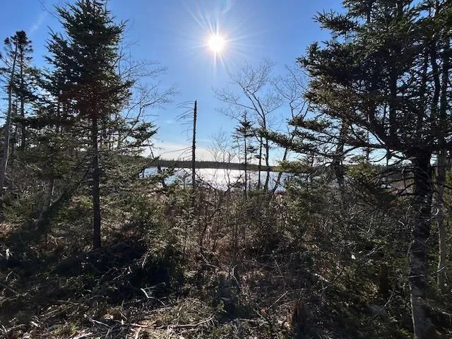 Salmon River Road, Salmon River Ns B0e 3b0, ,Land,For Sale,Salmon River,202510791