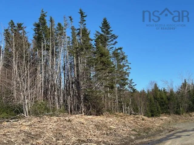 Salmon River Road, Salmon River Ns B0e 3b0, ,Land,For Sale,Salmon River,202510791