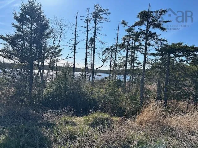 Salmon River Road, Salmon River Ns B0e 3b0, ,Land,For Sale,Salmon River,202510791