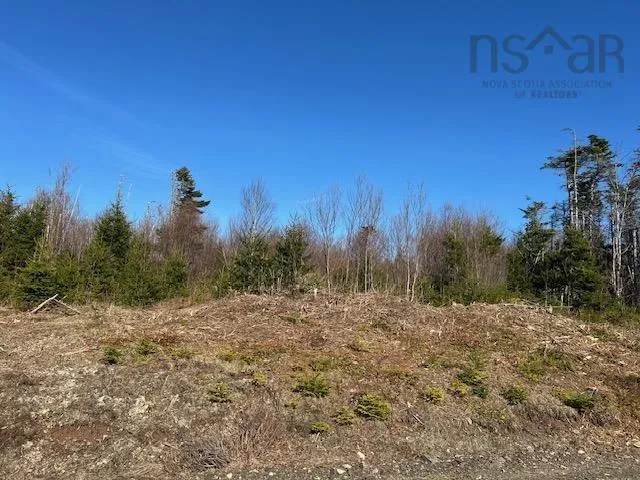 Salmon River Road, Salmon River Ns B0e 3b0, ,Land,For Sale,Salmon River,202510791