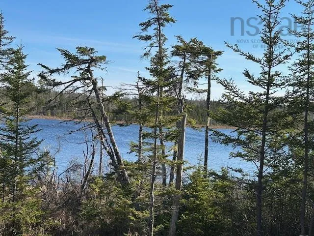 Salmon River Road, Salmon River Ns B0e 3b0, ,Land,For Sale,Salmon River,202510791