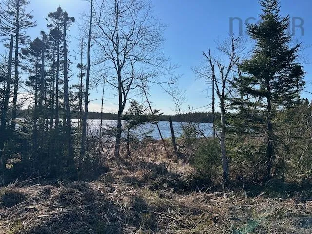 Salmon River Road, Salmon River Ns B0e 3b0, ,Land,For Sale,Salmon River,202510791