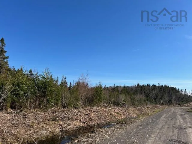 Salmon River Road, Salmon River Ns B0e 3b0, ,Land,For Sale,Salmon River,202510791