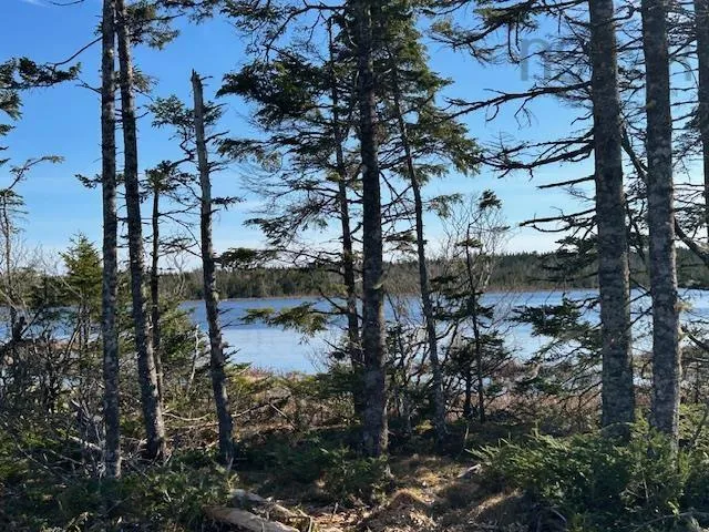 Salmon River Road, Salmon River Ns B0e 3b0, ,Land,For Sale,Salmon River,202510791