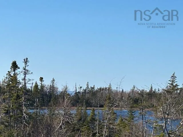 Salmon River Road, Salmon River Ns B0e 3b0, ,Land,For Sale,Salmon River,202510791