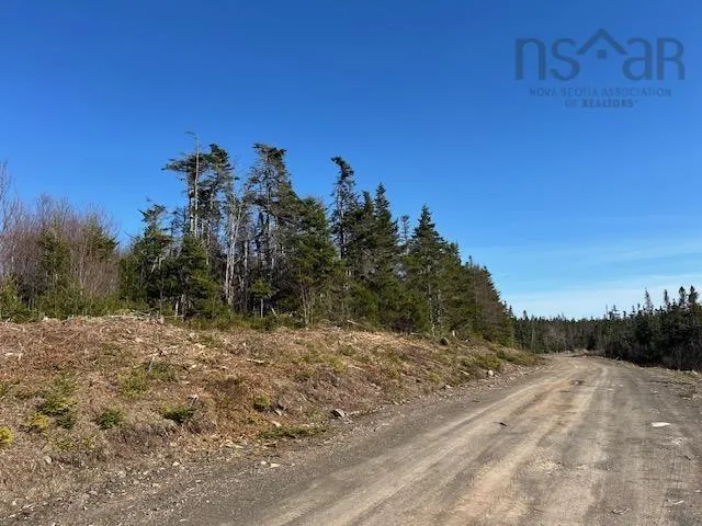Salmon River Road, Salmon River Ns B0e 3b0, ,Land,For Sale,Salmon River,202510791