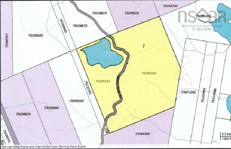 Salmon River Road, Salmon River Ns B0e 3b0, ,Land,For Sale,Salmon River,202510791