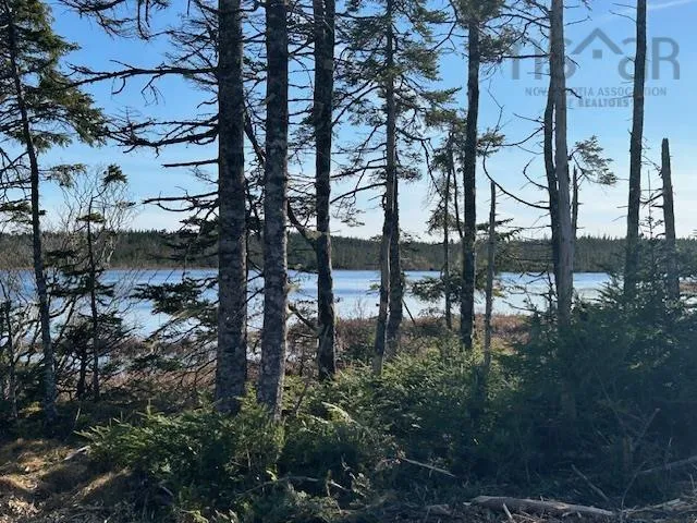 Salmon River Road, Salmon River Ns B0e 3b0, ,Land,For Sale,Salmon River,202510791