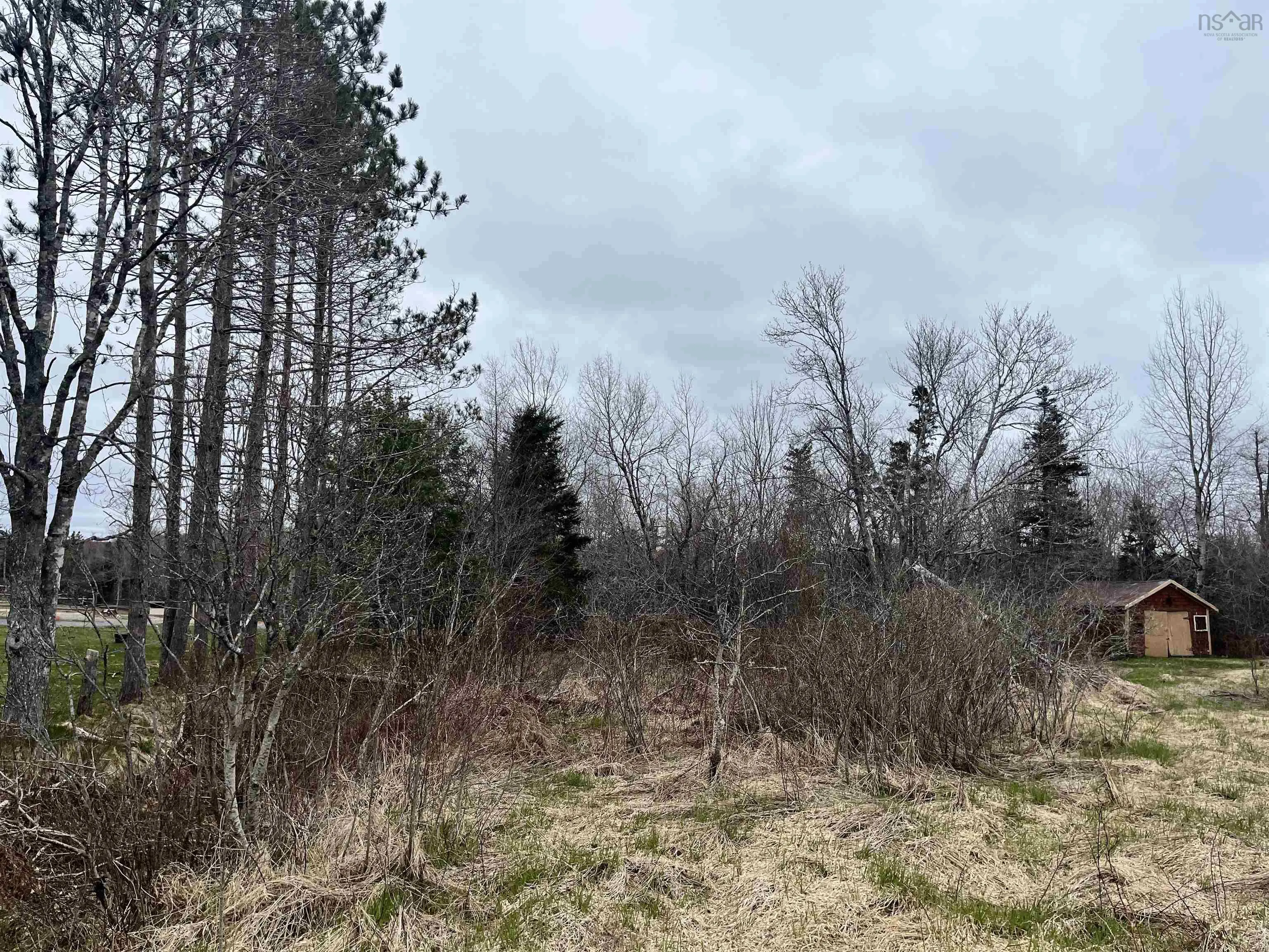 13e Highway 224, Middle Musquodoboit, NS B0N 1X0, ,Land,For Sale,Highway 224,202518172