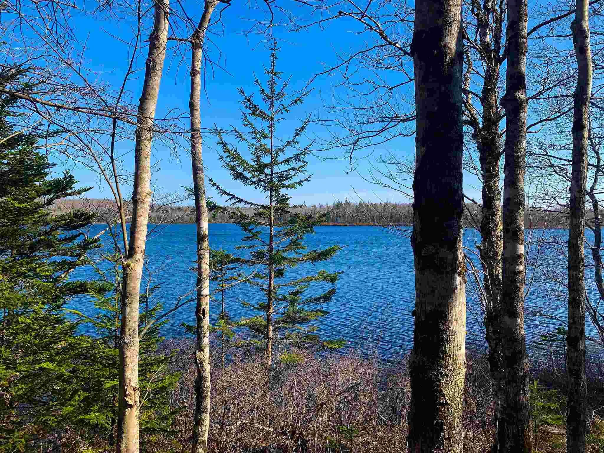Lake Edward, Lake Annis, NS B5A 5L7, ,Land,For Sale,Lake Edward,202523477