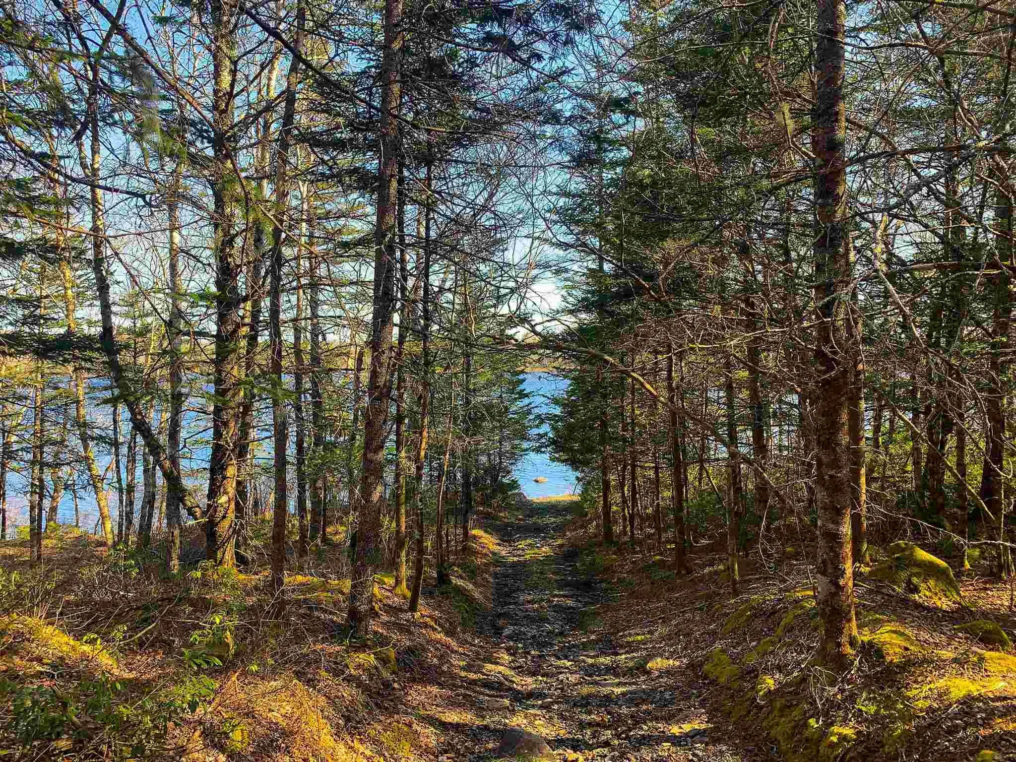 Lake Edward, Lake Annis, NS B5A 5L7, ,Land,For Sale,Lake Edward,202523477