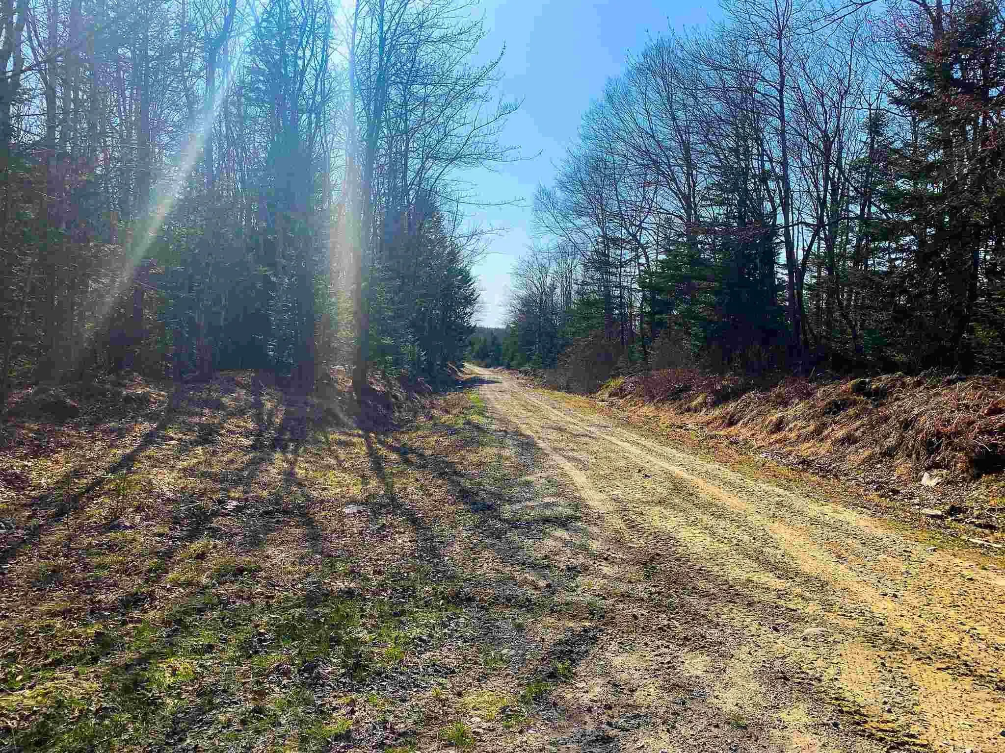 Lake Edward, Lake Annis, NS B5A 5L7, ,Land,For Sale,Lake Edward,202523477