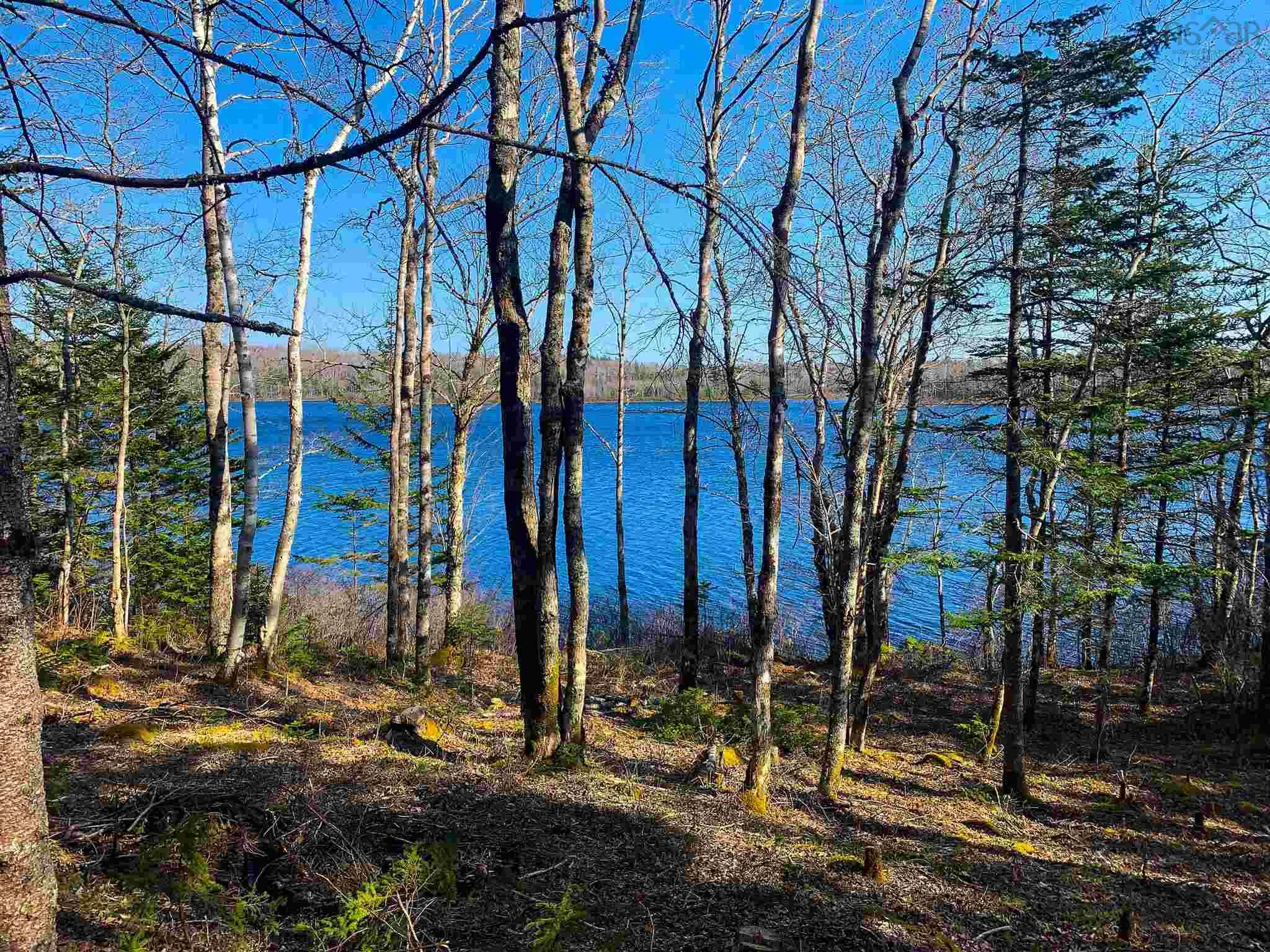 Lake Edward, Lake Annis, NS B5A 5L7, ,Land,For Sale,Lake Edward,202523477