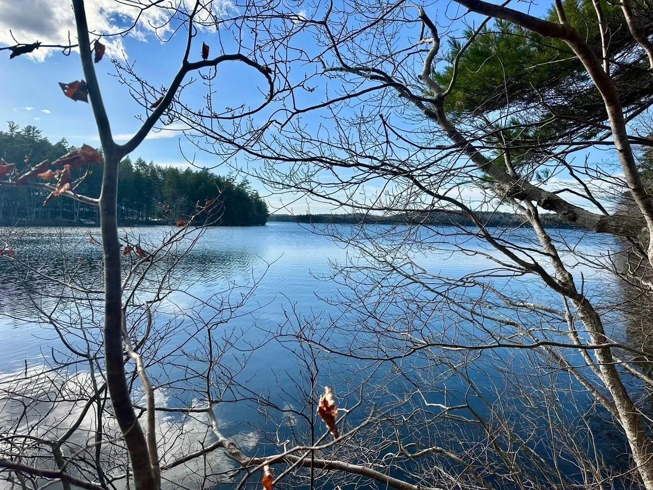 Lot 2-2 Raspberry Court, Italy Cross Ns B4v 0r6, ,Land,For Sale,Raspberry Court,202507297