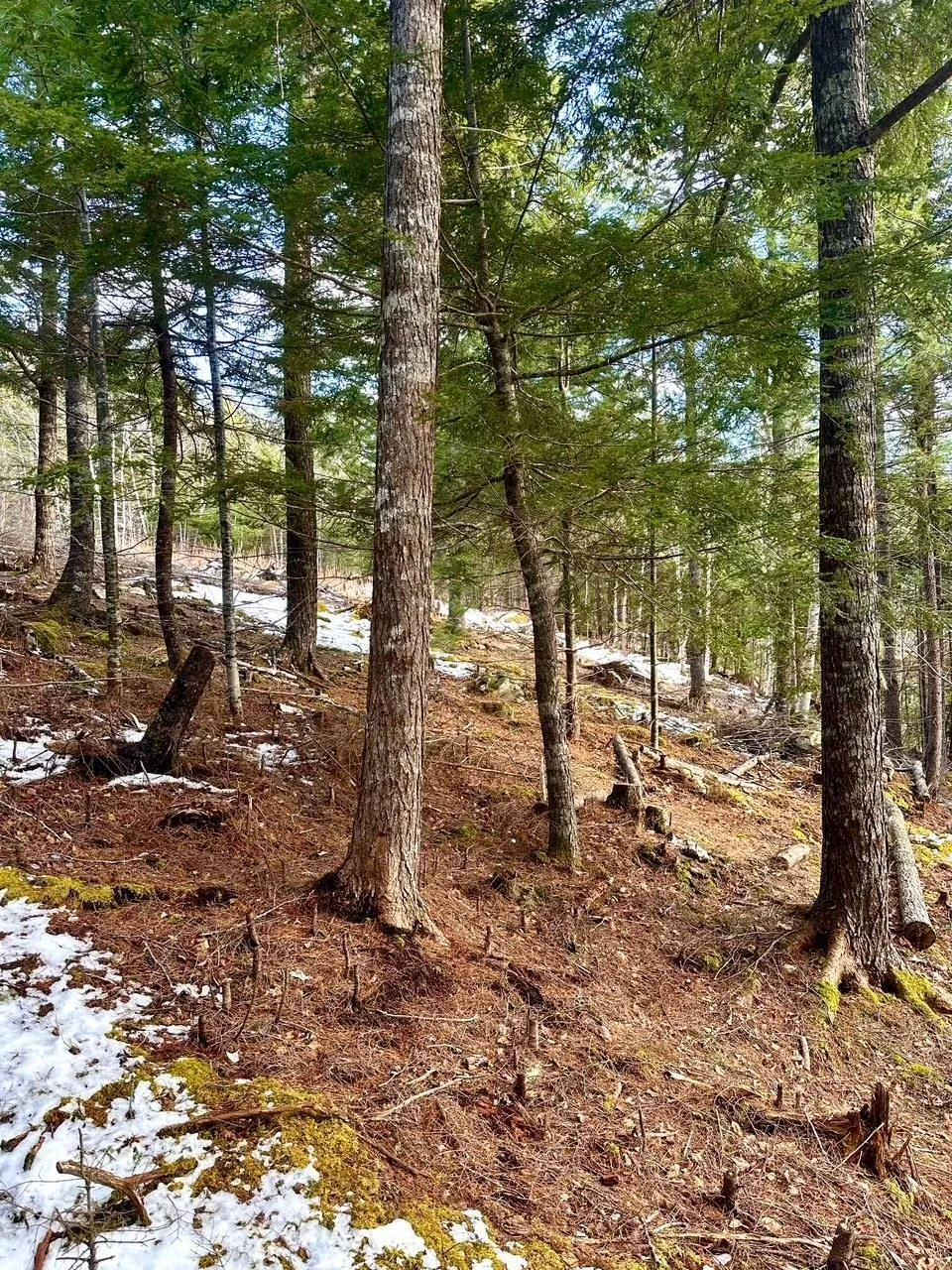 Lot 2-2 Raspberry Court, Italy Cross Ns B4v 0r6, ,Land,For Sale,Raspberry Court,202507297