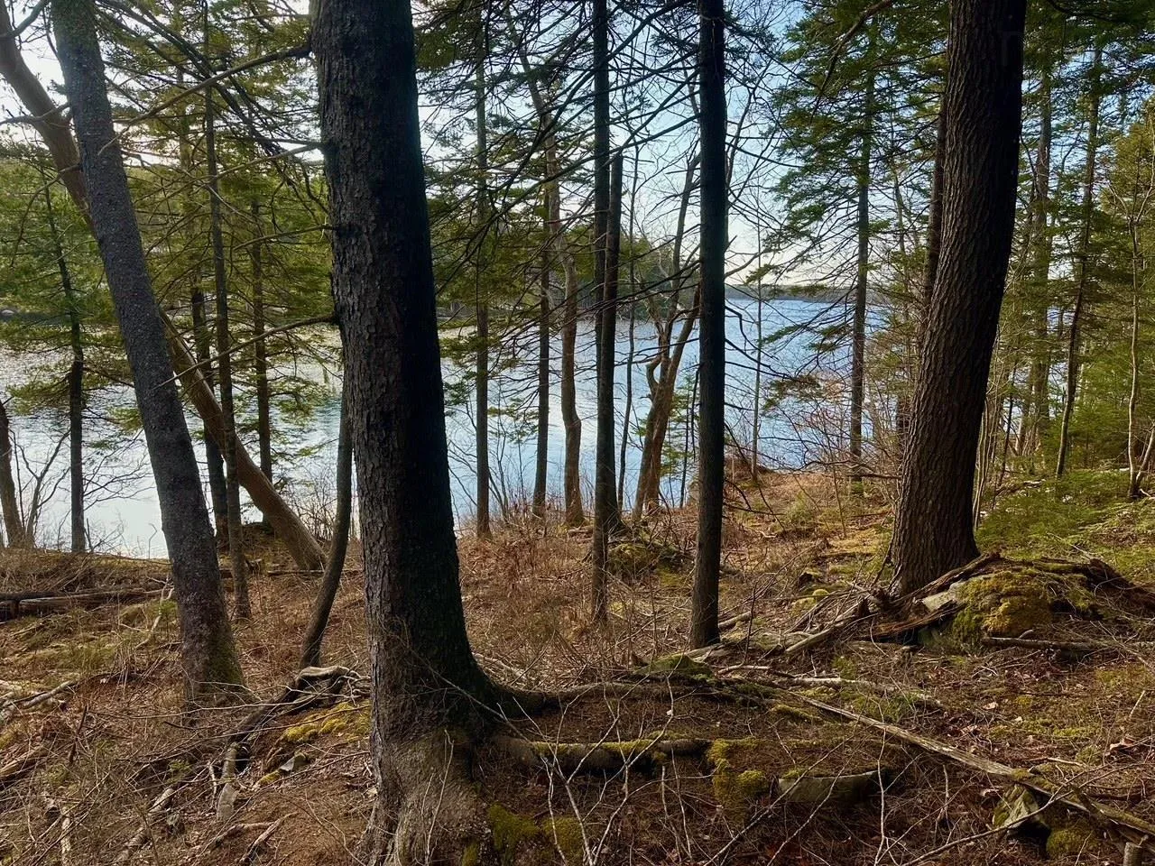 Lot 2-2 Raspberry Court, Italy Cross Ns B4v 0r6, ,Land,For Sale,Raspberry Court,202507297