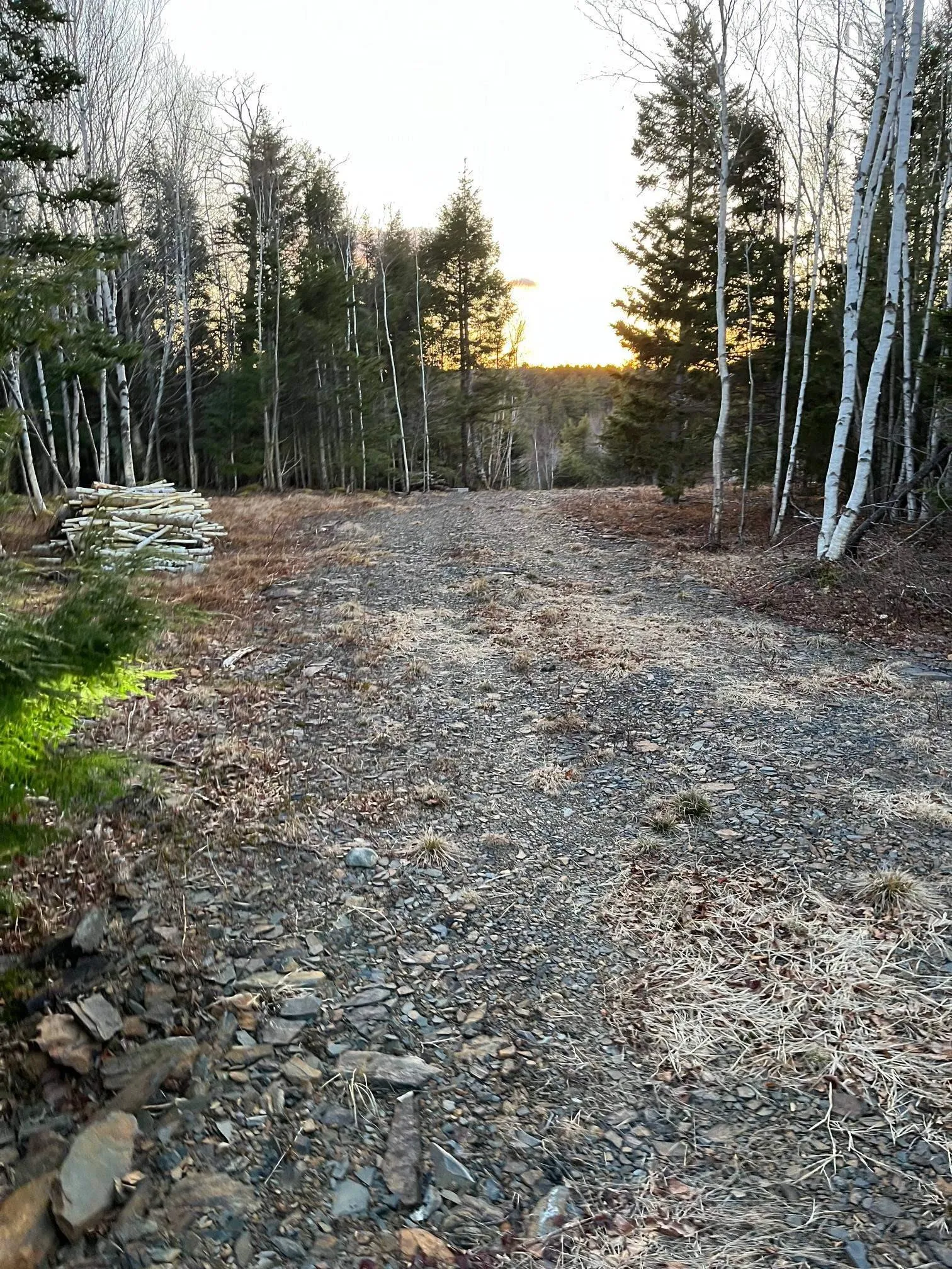 Lot 2-2 Raspberry Court, Italy Cross Ns B4v 0r6, ,Land,For Sale,Raspberry Court,202507297