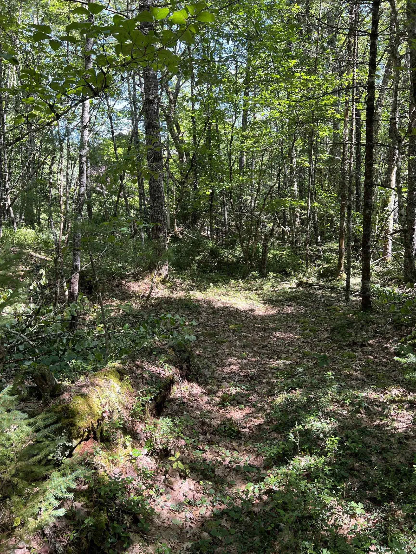 809 Highway 203, Lower Ohio Ns B0t 1w0, 3 Bedrooms Bedrooms, ,2 BathroomsBathrooms,Residential,For Sale,Highway 203,202510131