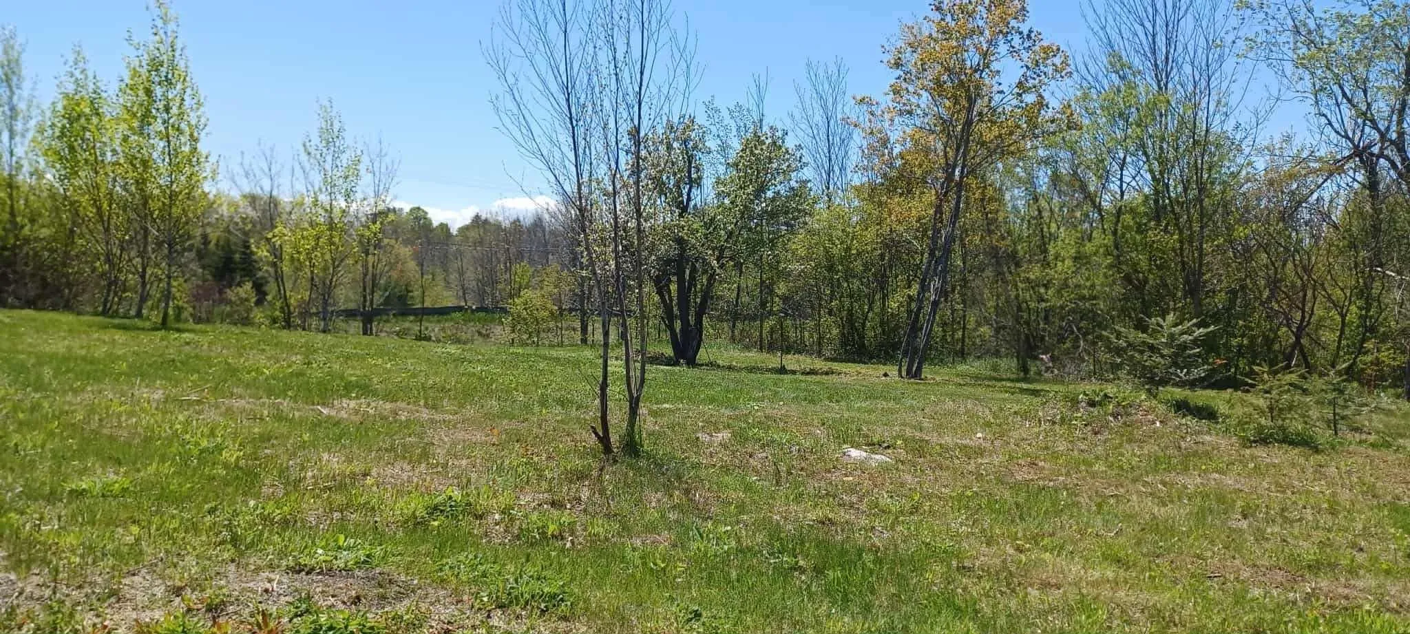 8 Daisy Lane, Alma, NS B0K 2A0, ,Land,For Sale,Daisy,202521953