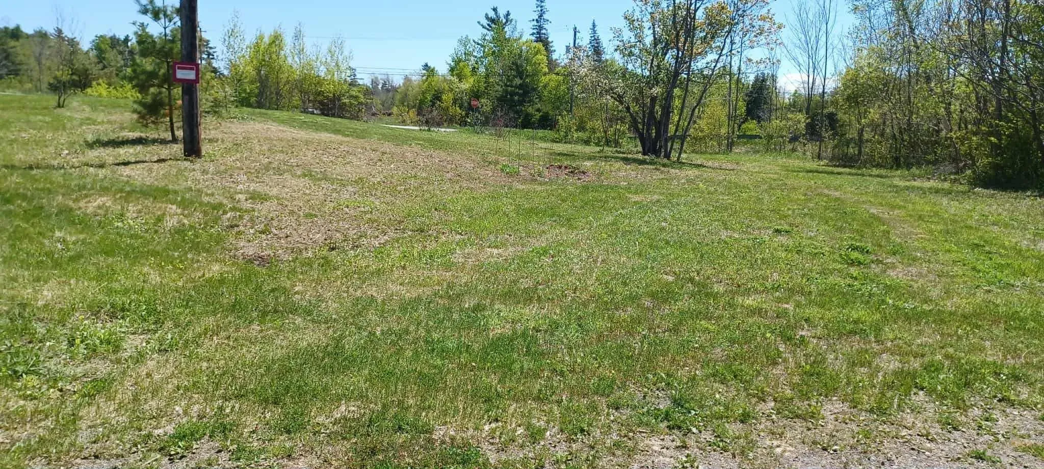 8 Daisy Lane, Alma, NS B0K 2A0, ,Land,For Sale,Daisy,202521953