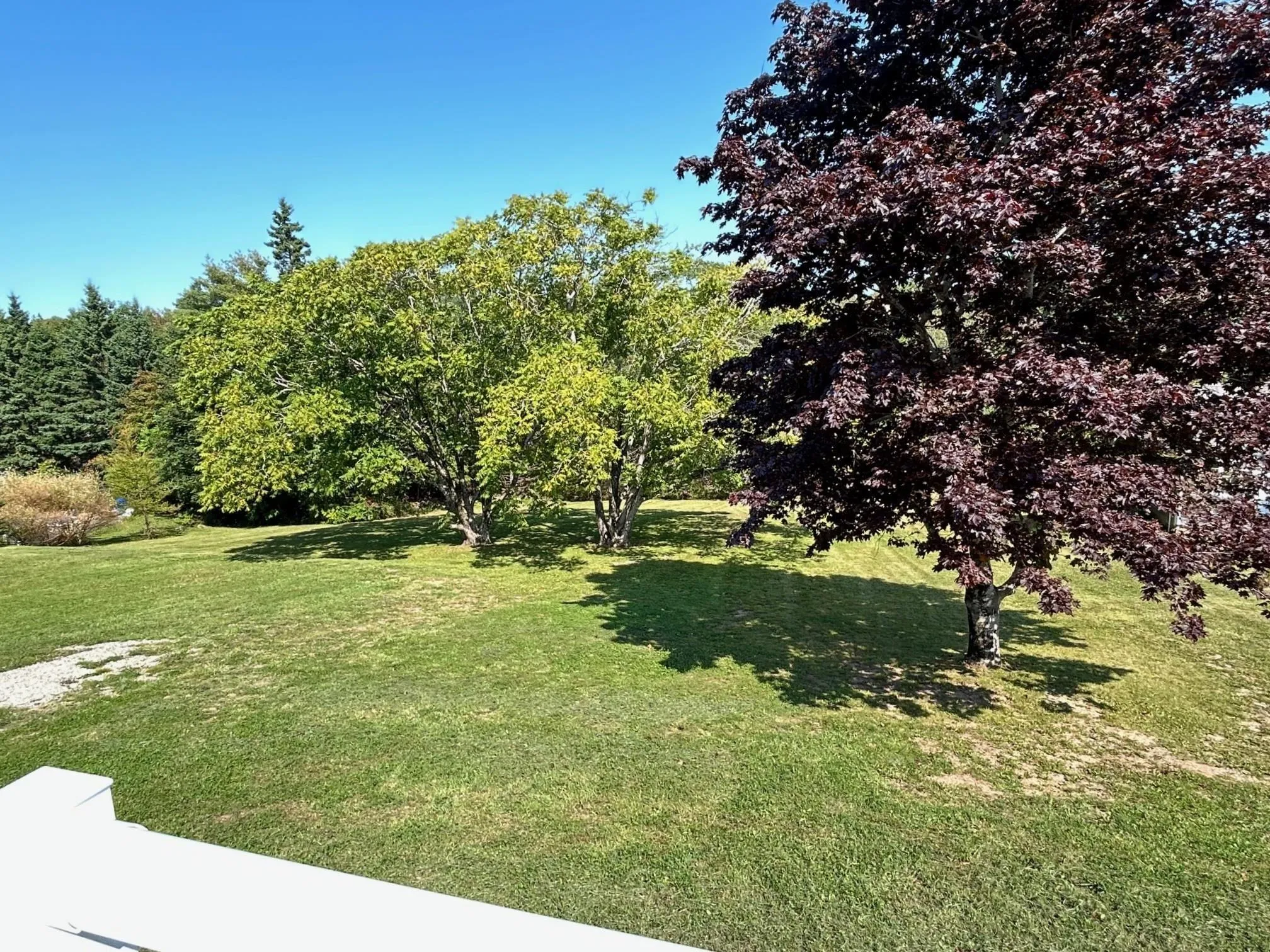 97 Nauss Point Road, Chester, NS B0J 1J0, 5 Bedrooms Bedrooms, ,3 BathroomsBathrooms,Residential,For Sale,Nauss Point,202524817