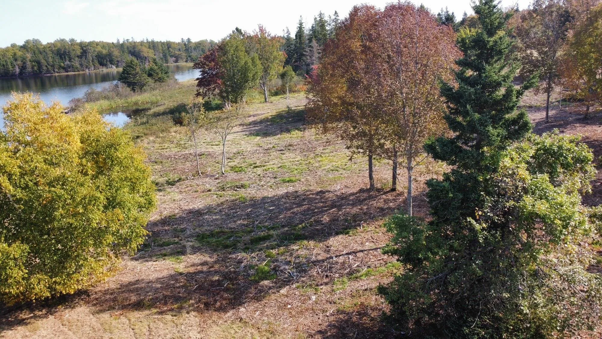 8080 Marble Mountain Road, Malagawatch Ns B0e 2y0, ,Land,For Sale,Marble Mountain,202423992