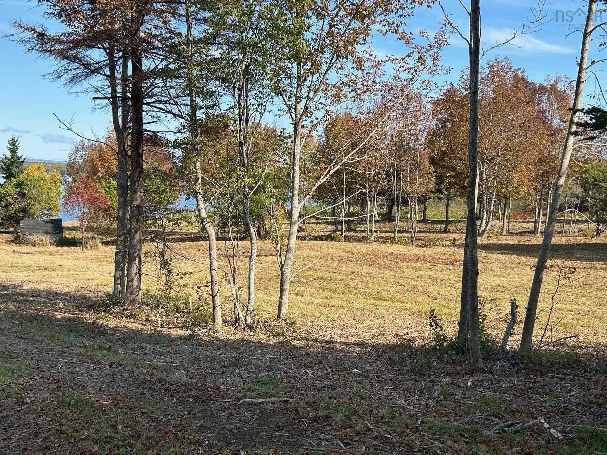 8080 Marble Mountain Road, Malagawatch Ns B0e 2y0, ,Land,For Sale,Marble Mountain,202423992